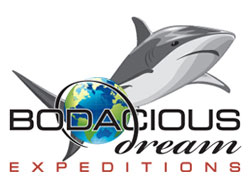 Bodacious Dream Expeditions