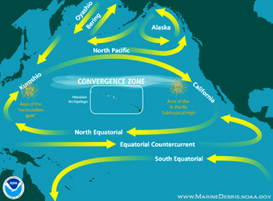 Pacific Currents